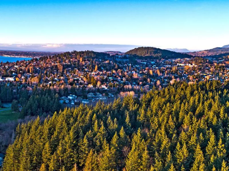 Forest View Bellingham Washington Fairhaven Neighborhood