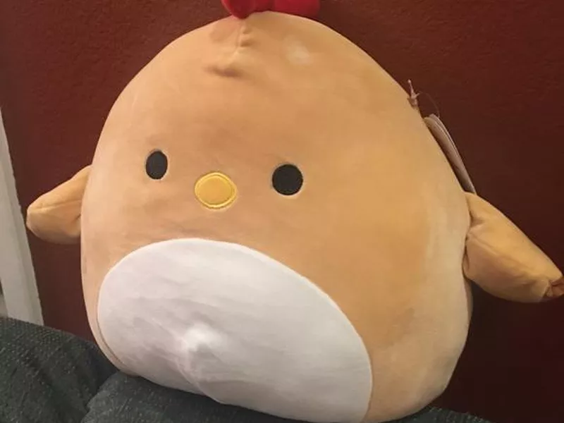 Celine the Hen, collectible Squishmallow