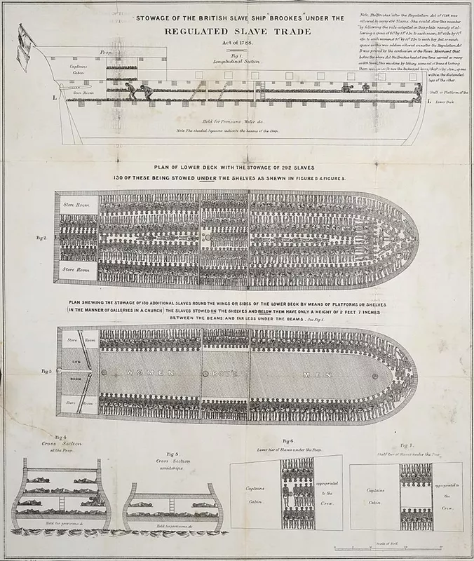 The slave ship Brookes