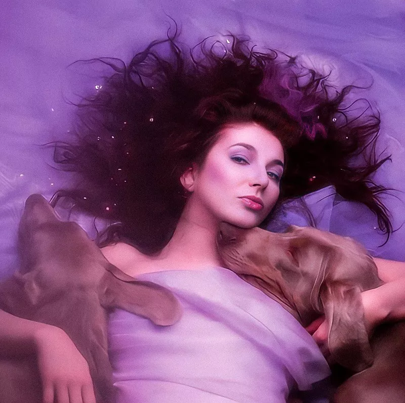 Hounds of Love album cover