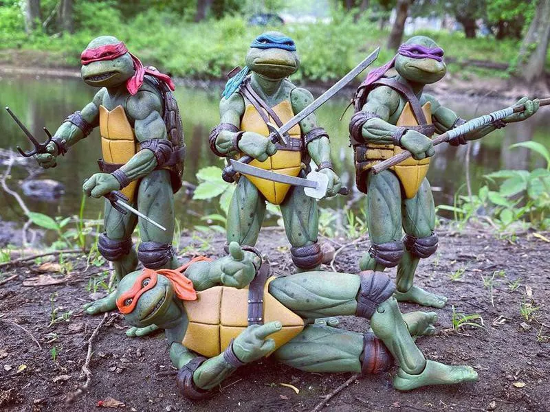 Teenage Mutant Ninja Turtles