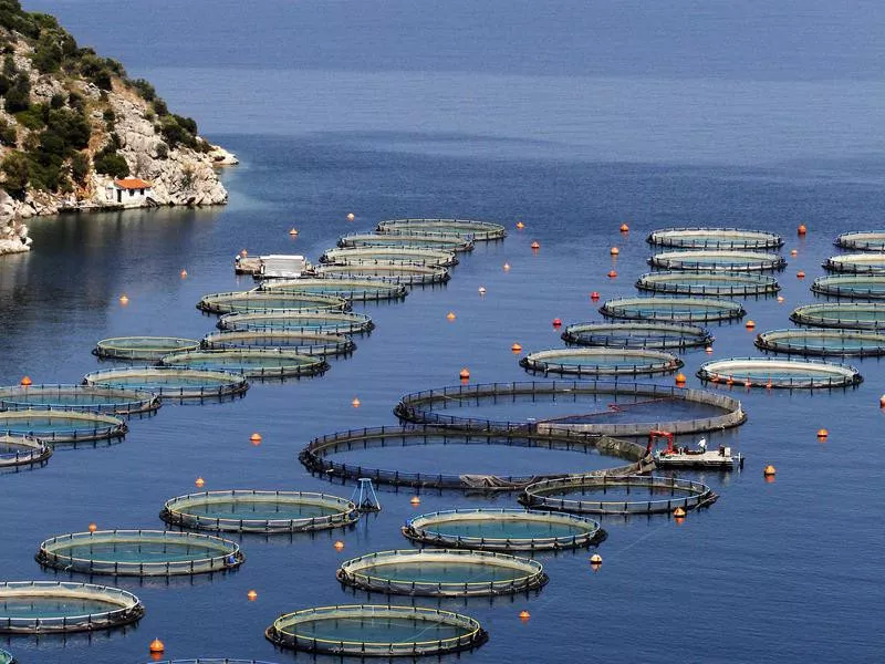 Fish farming in Greece