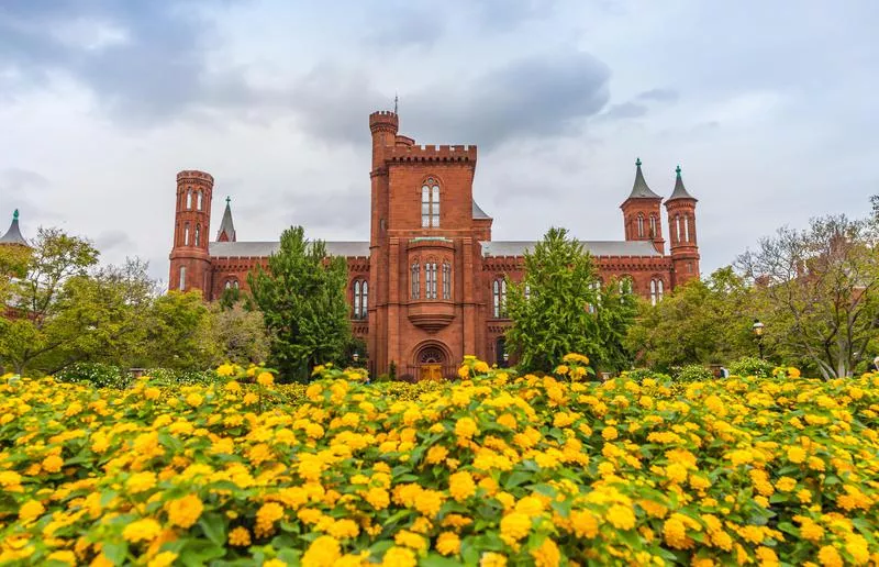 Museum and flowers