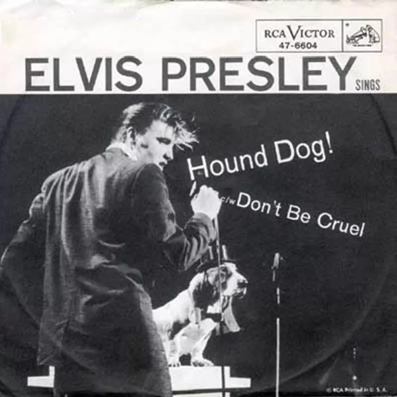 Hound Dog cover