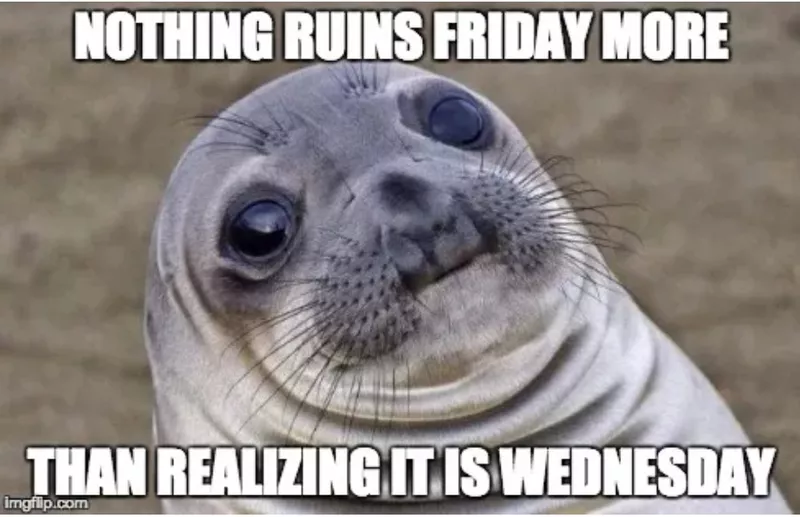 Wednesday face meme