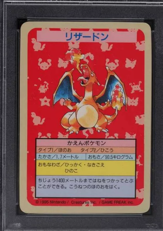 1995 Japanese Topsun Charizard