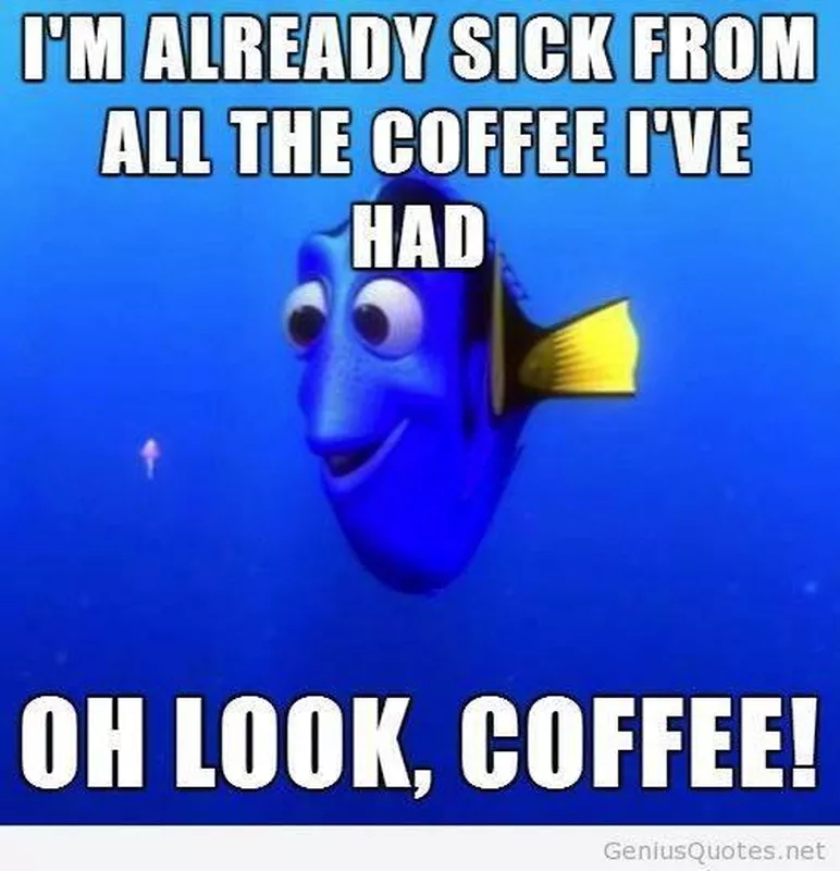 Dory wants coffee