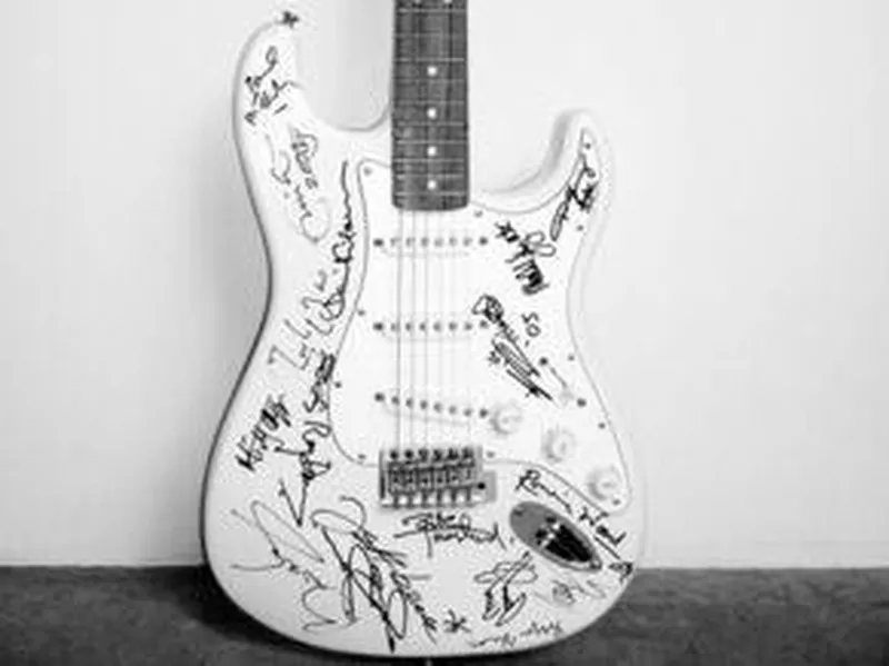 Expensive fender stratocaster