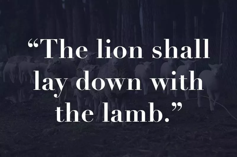 Lions and lambs