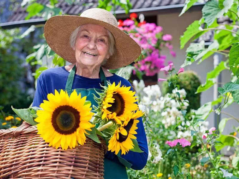 Gardening