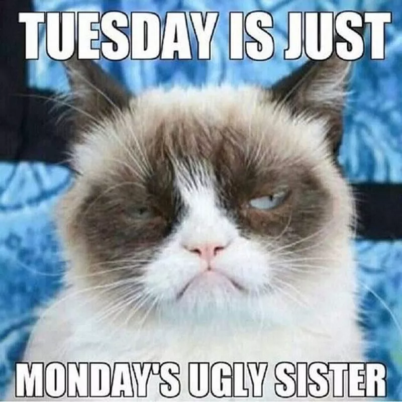 Tuesday is just Monday's ugly sister