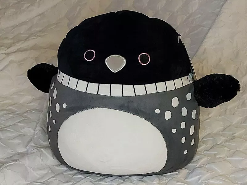 Rare Lenora the Loon Squishmallow