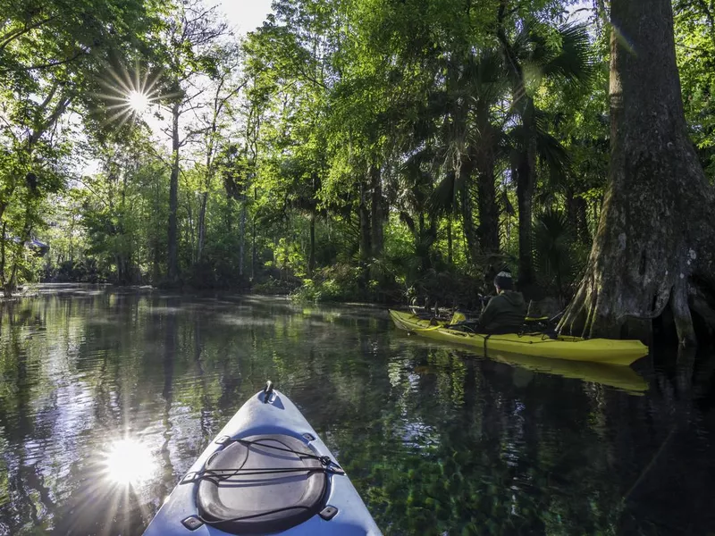 Kayaker Photographing at Dawn on the Silver River