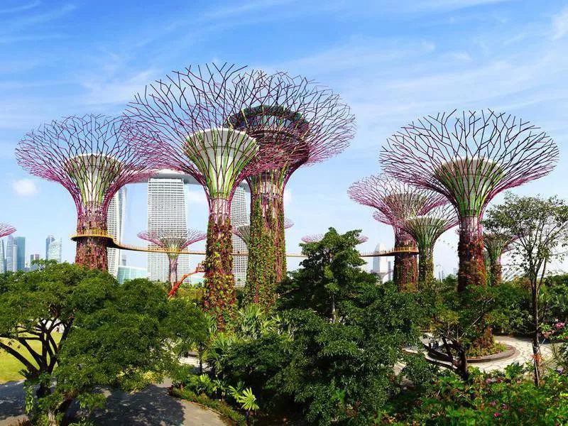 Gardens by the Bay