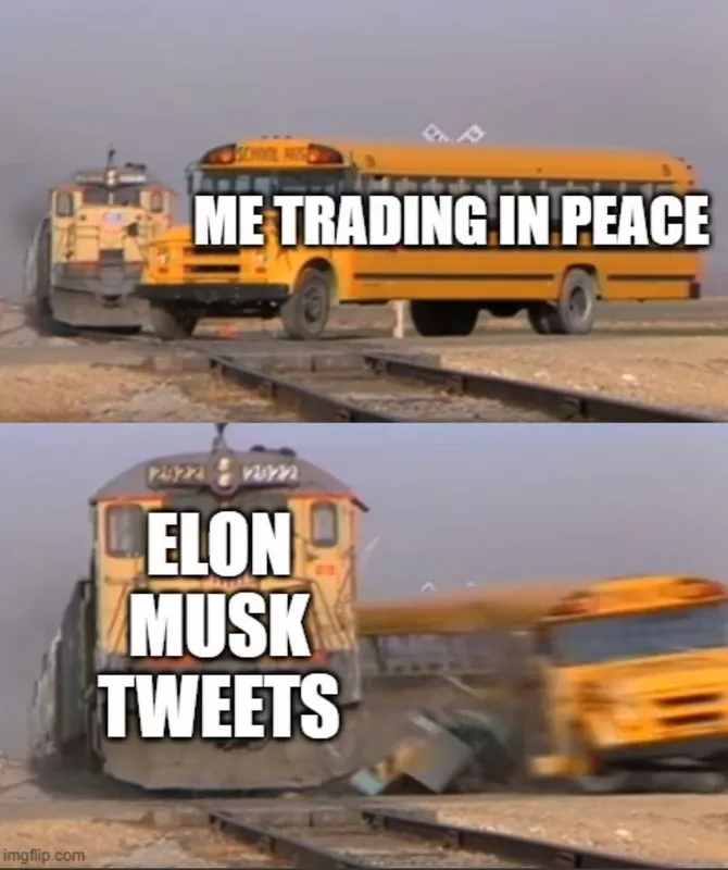 Elon Musk meme