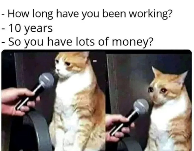 Working cat