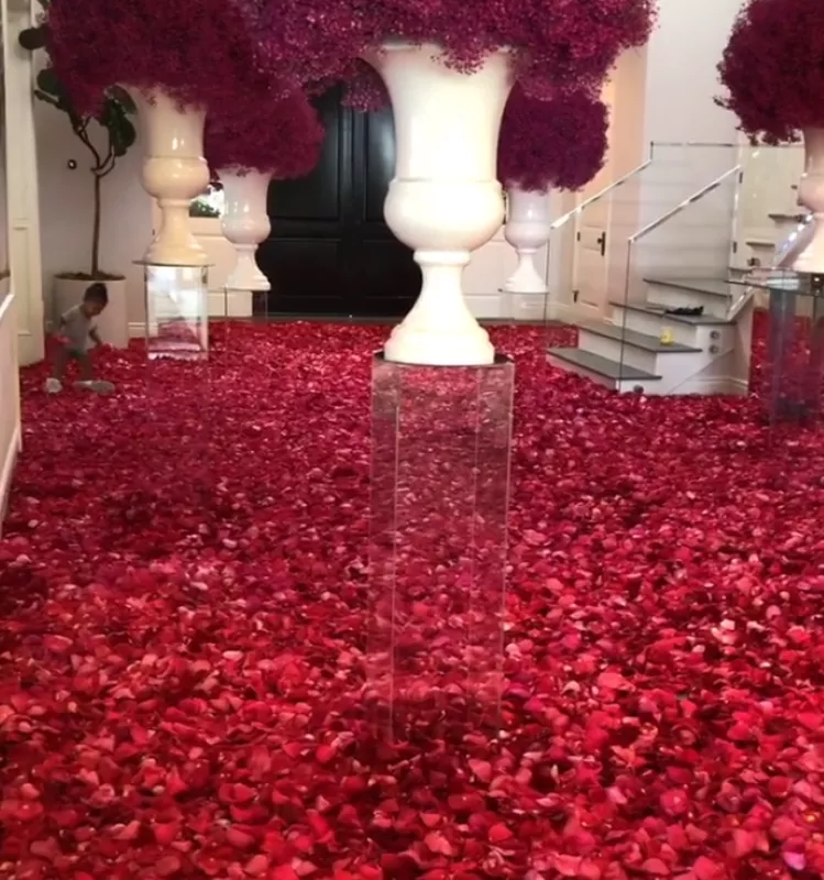 Rose petals