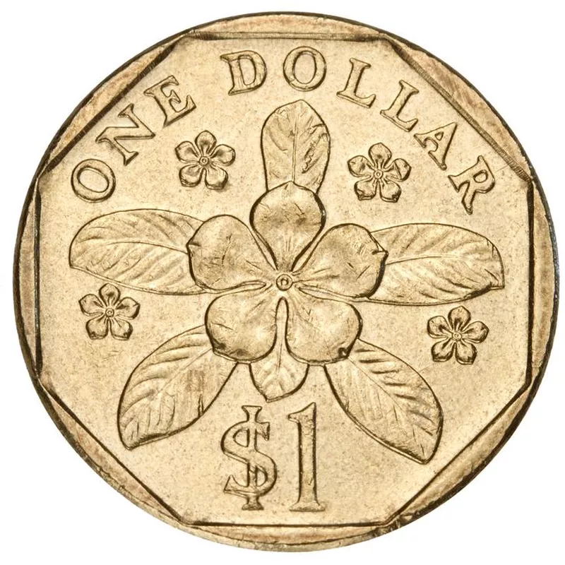 Singapore dollar