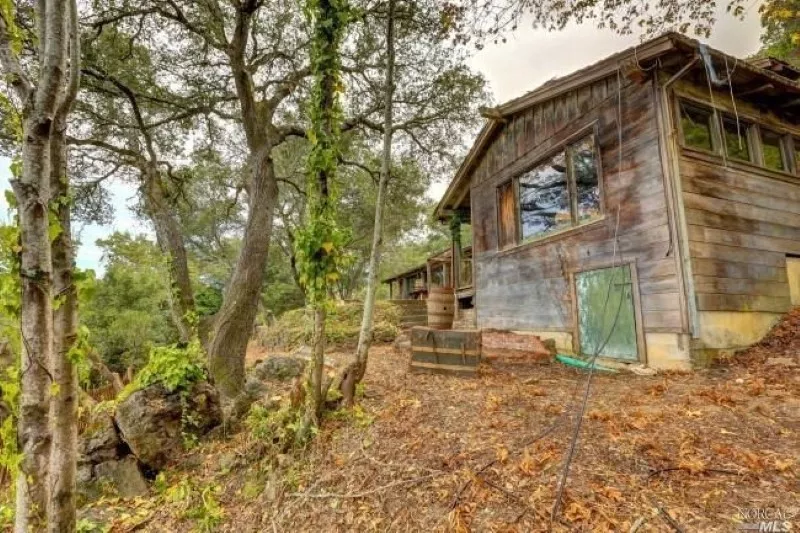 Phil Lesh's fixer-upper yard