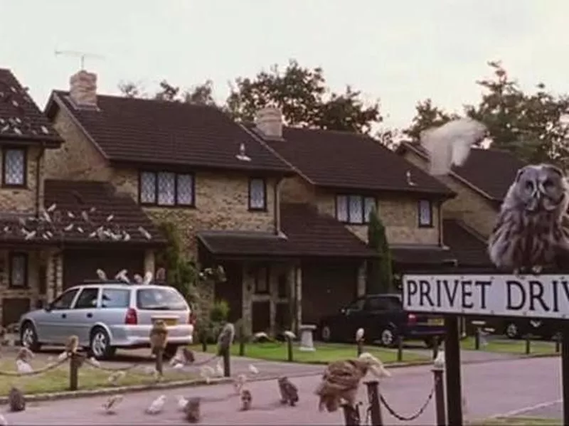 Owl scene on Privet Drive