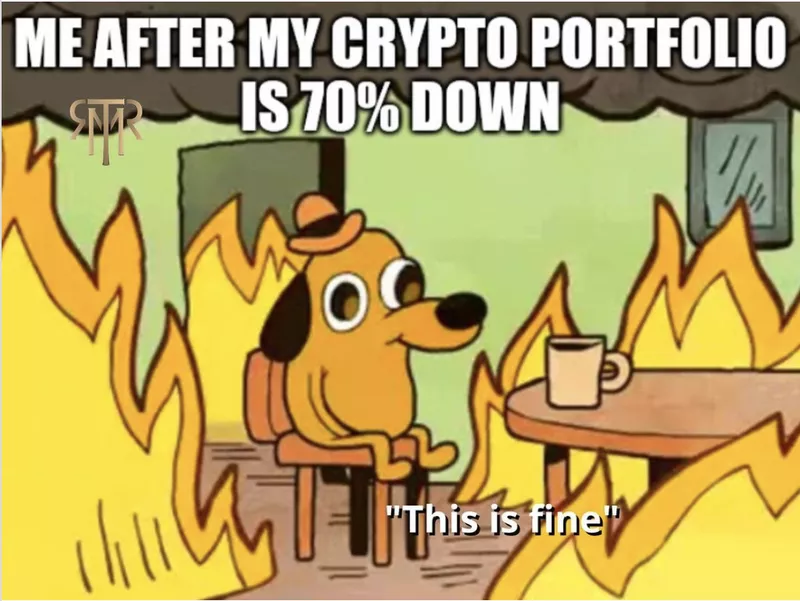 After my crypto portfolio is 70 percent down meme