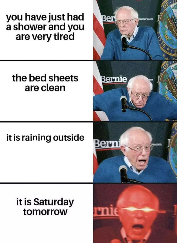 Bernie Sanders meme