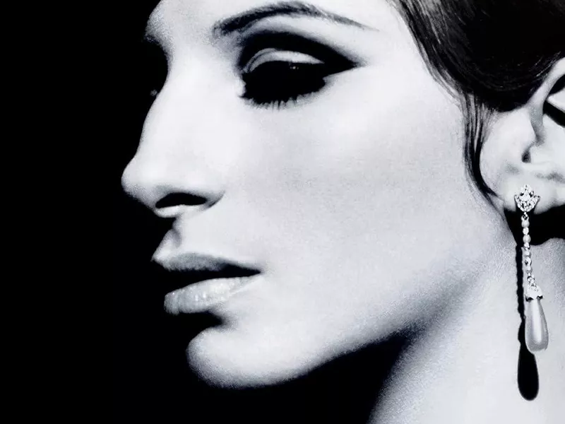 Barbra Streisand book