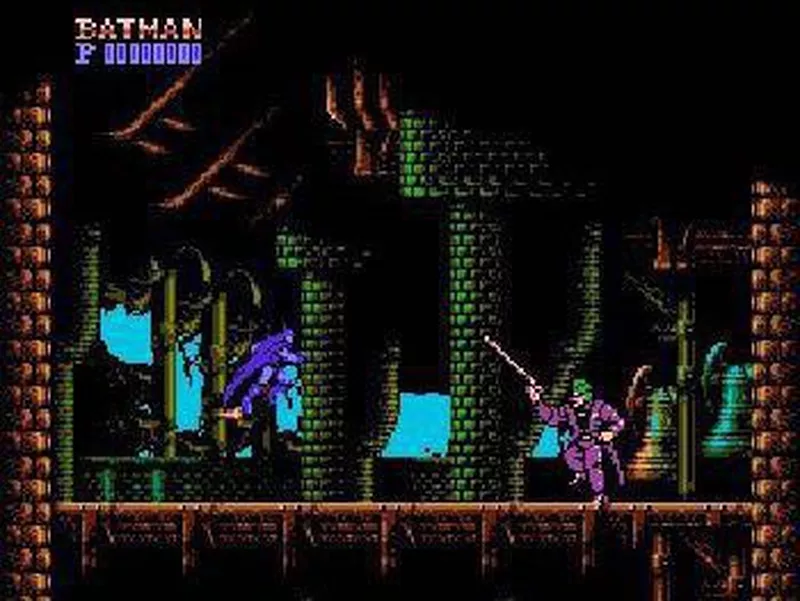 Batman: The Video Game