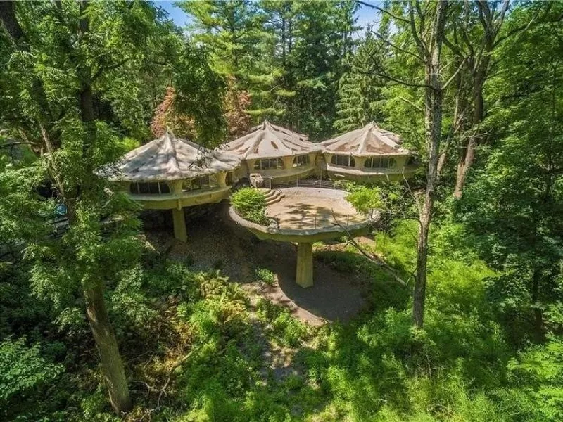 Mushroom house in New York