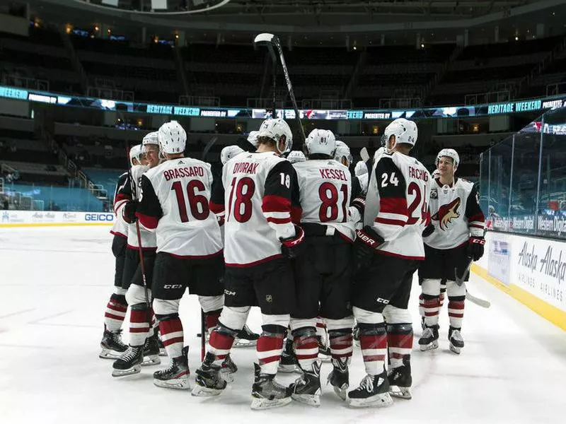 Arizona Coyotes