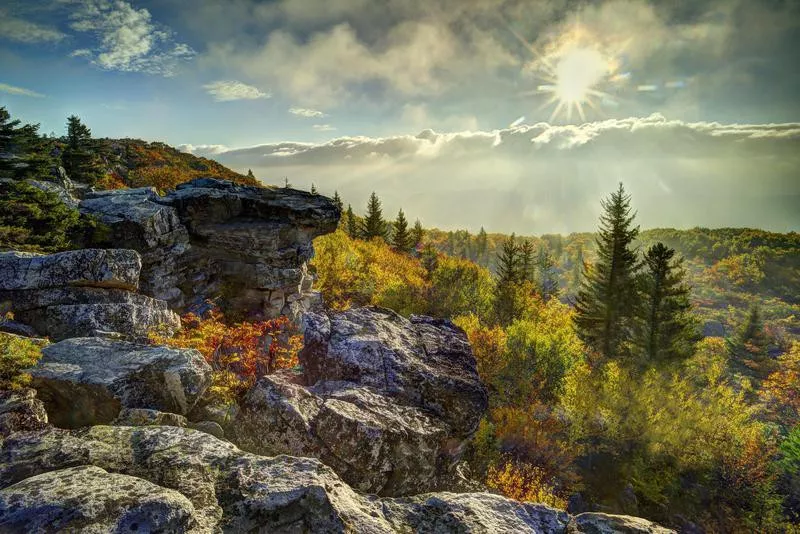 Dolly Sods, WV