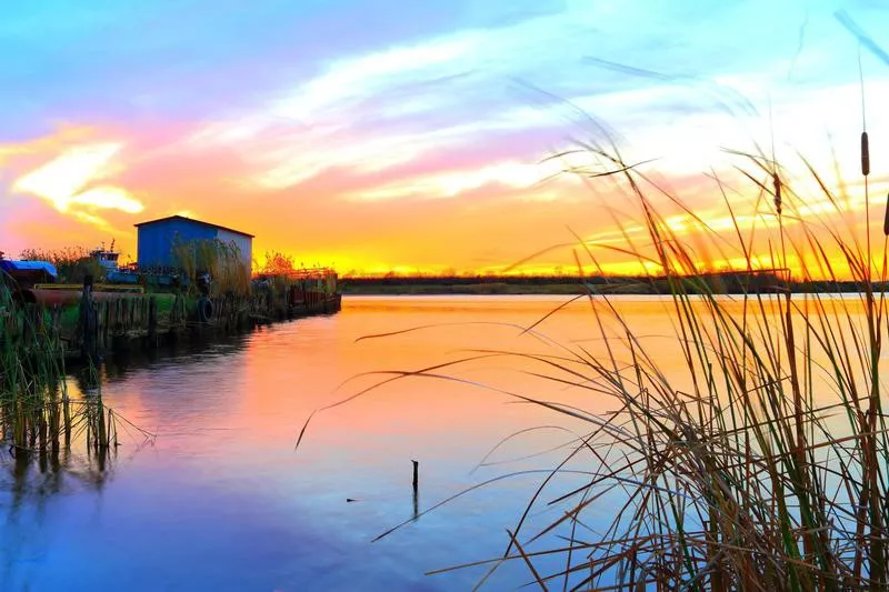 Louisiana Bayou Sunset