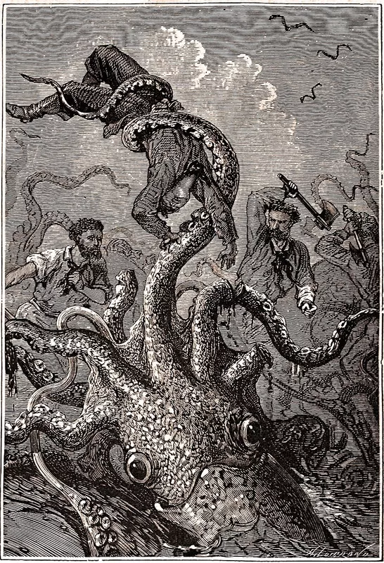 Giant squid