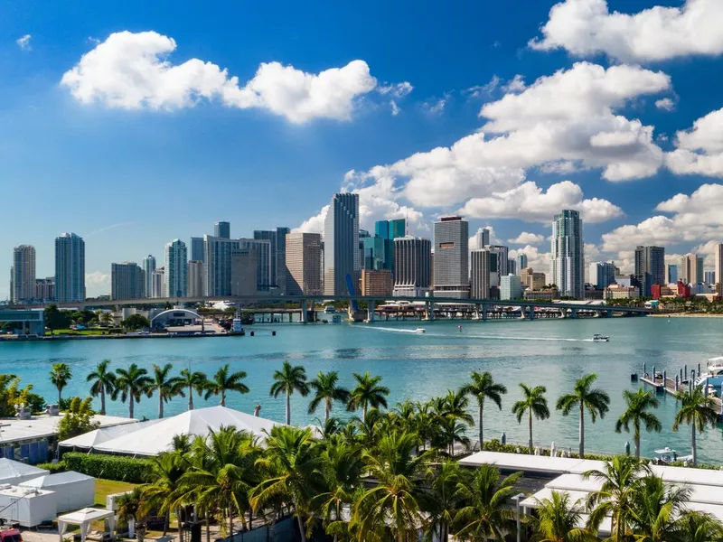 Miami Downtown Skyline With Palm Trees