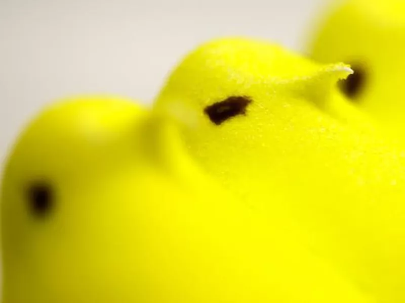 The yellow Peep