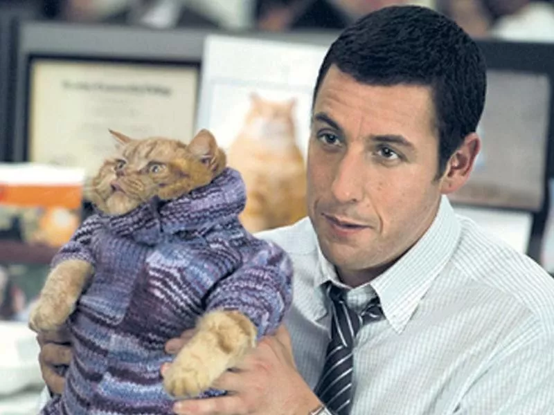 Adam Sandler in Anger Managment