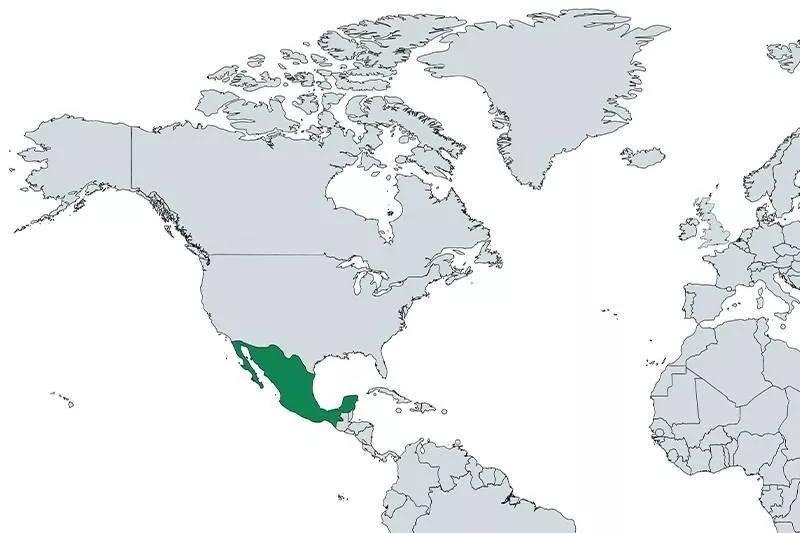 Mexico