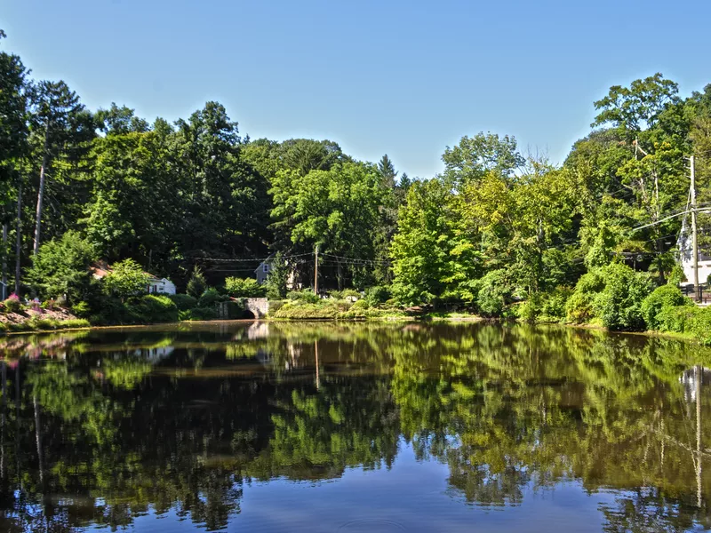 Chappaqua duck pond