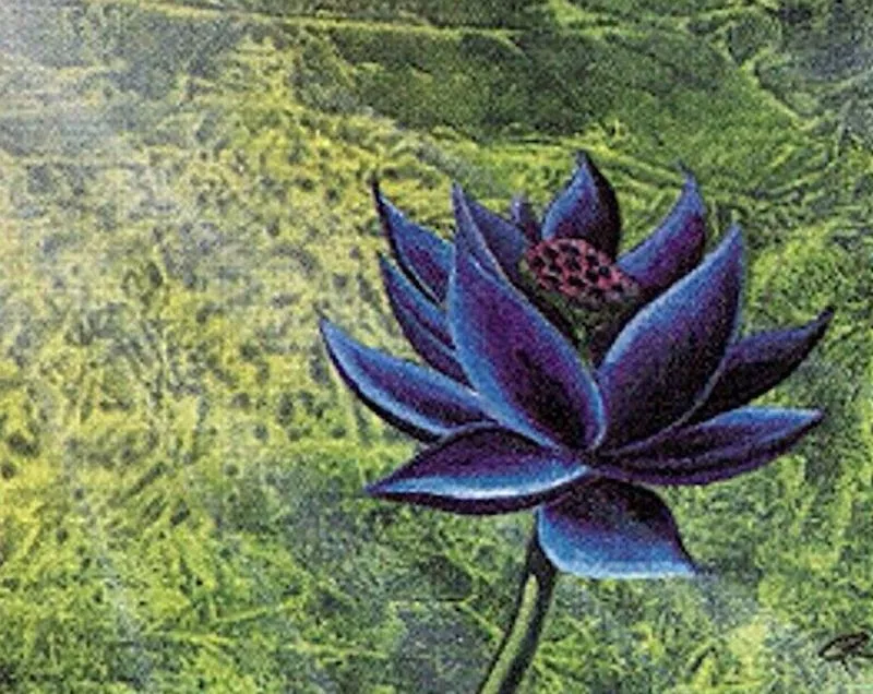 Black Lotus