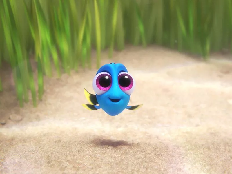 Finding Dory