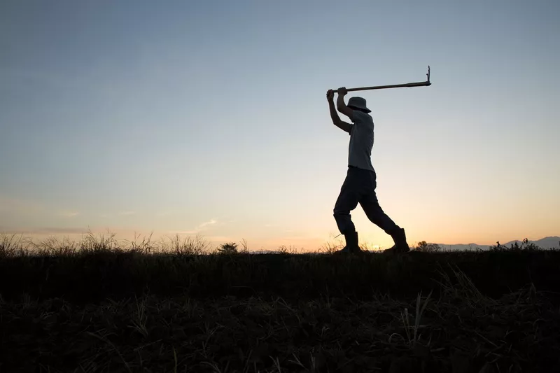 Agricultural worker