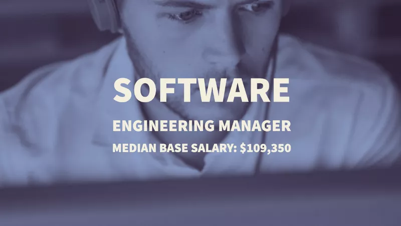 Software Engineering Manager