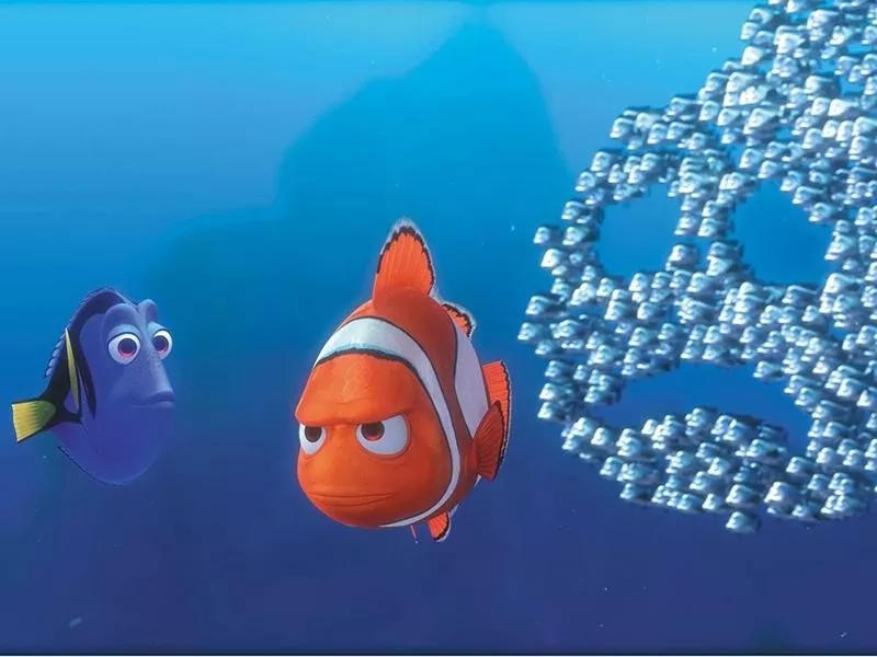 Finding Nemo