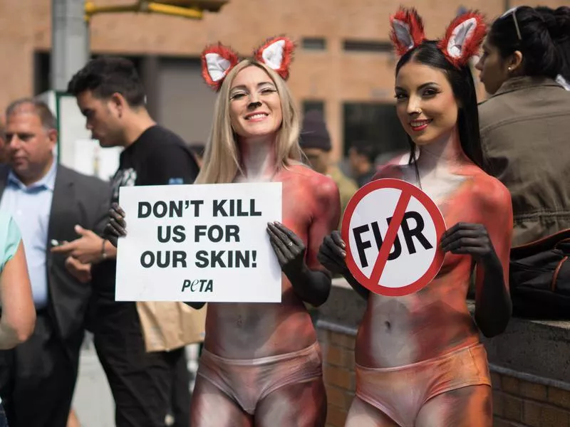 PETA protesters