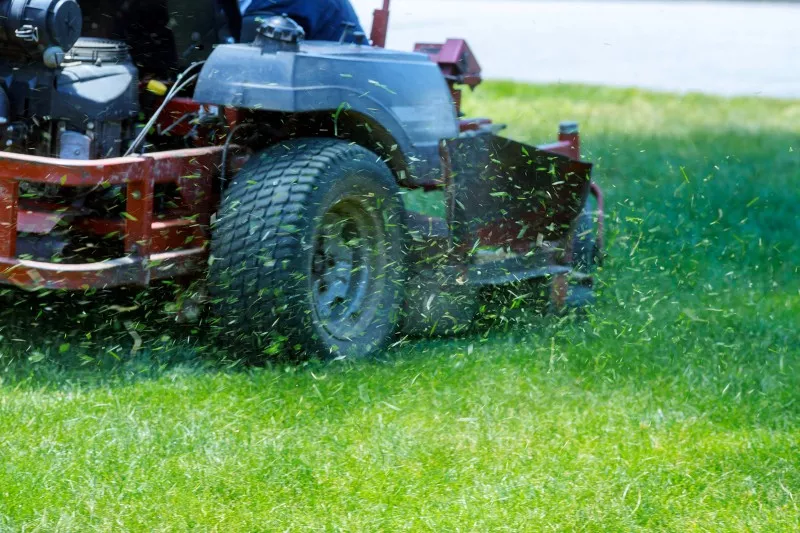 Mowing lawn