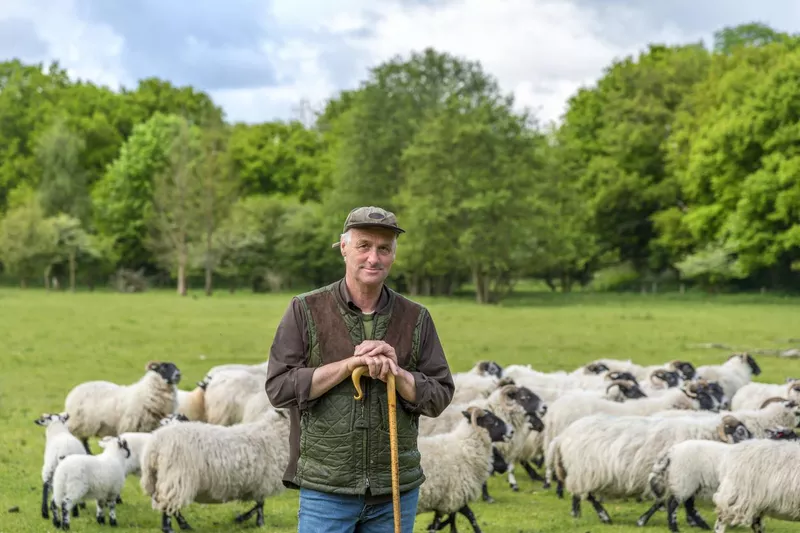 Shepherd leaning on his staff