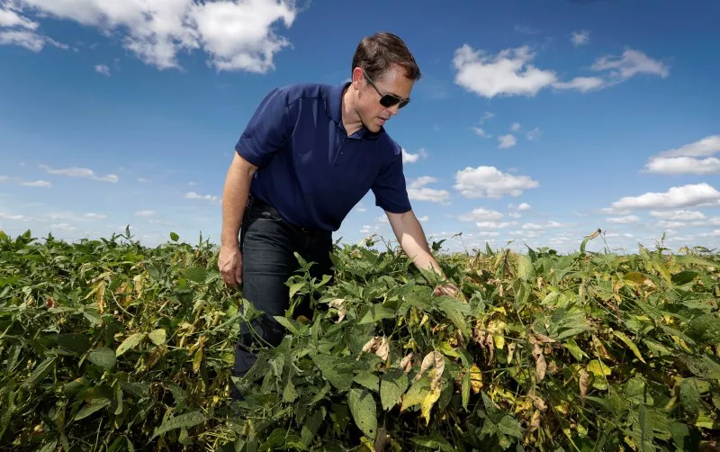 Soybean farmer