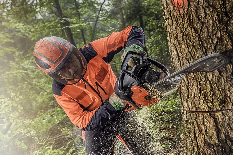 Lumberjack at work