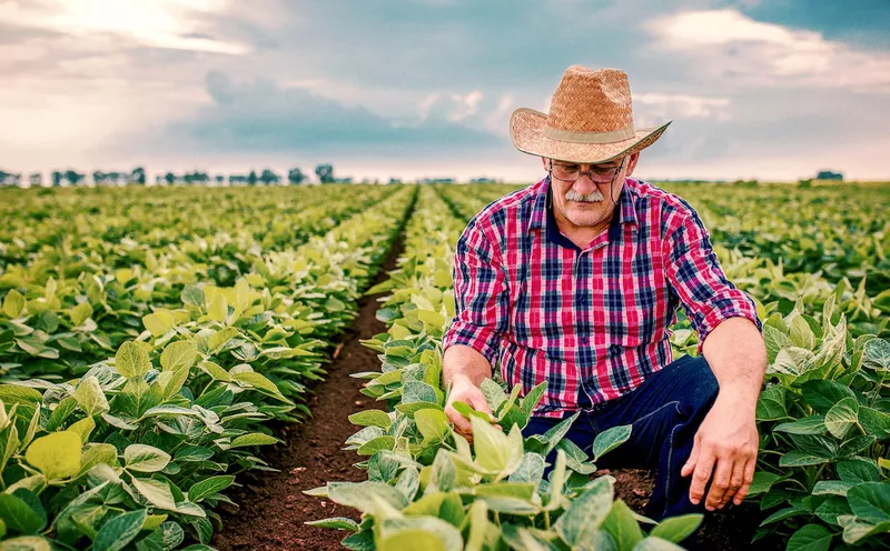 Farmer