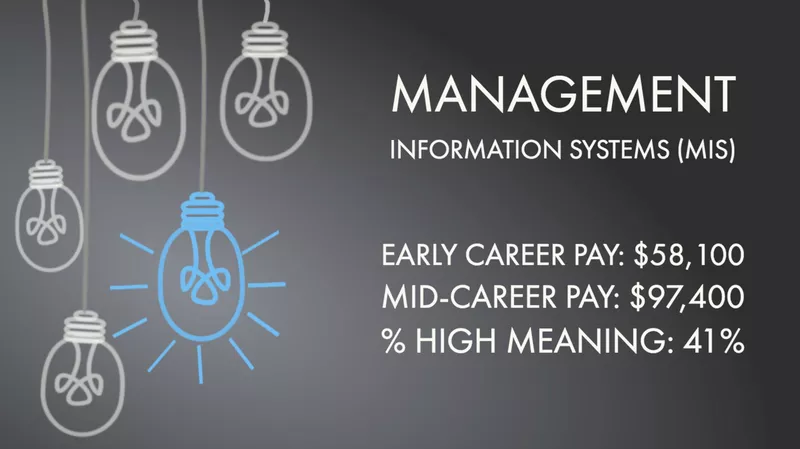 Management Information Systems (MIS)